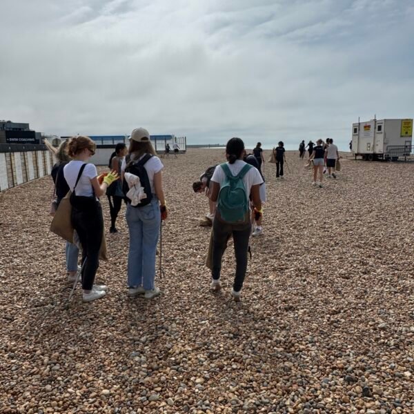 image00010